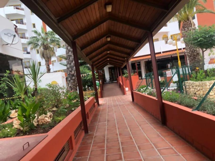 Praia Da Rocha - Charming Guest House Portimão Eksteriør billede